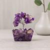 Amethyst Crystal Tree On Orgonite Base, 15 Stones