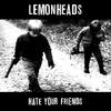CD LEMONHEADS - Hate Your Friends FIRECD235 Fire Records 2013 UK Rock Used