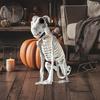 Halloween Skeleton Dog Spooky Skeleton Animal Realistic Halloween Skeleton Dog Statue Skull Bone Art Ornaments for Party Haunted