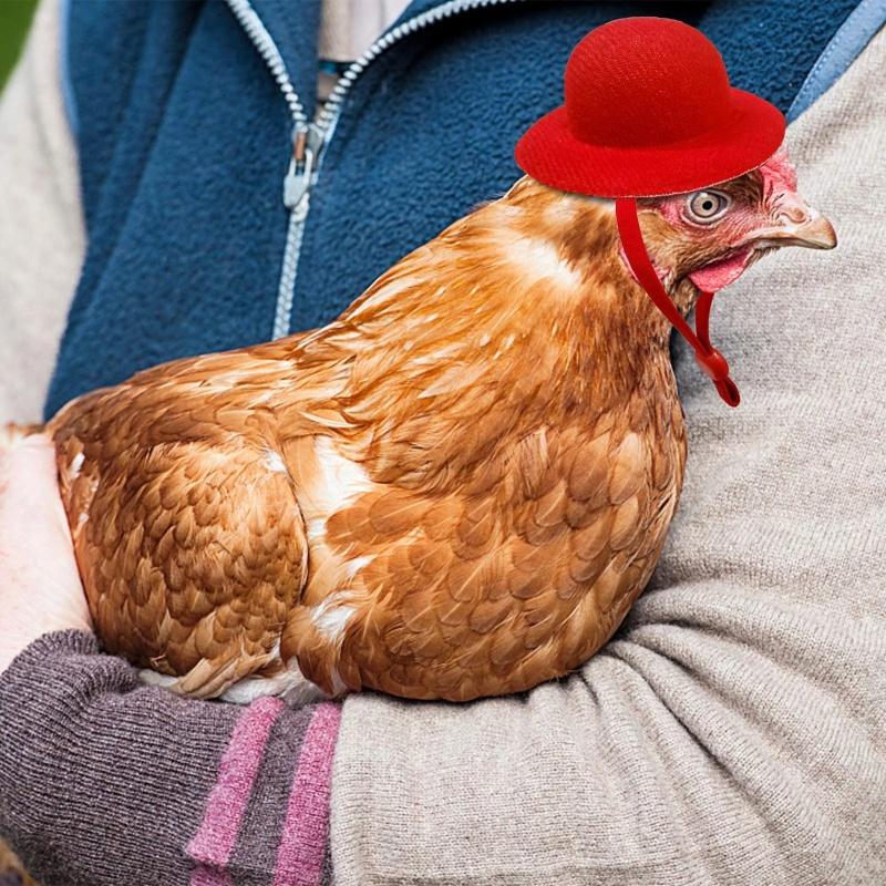 New Chicken Hat For Hens Tiny Pets Funny Chicken Accessories Hen Top Hat For Rooster Duck Parrot Hamster Poultry Stylish Show Costum