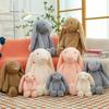 Popular Rabbit Doll Bunny Plush Toy Doll Creative Cute Long-eared Rabbit Doll Gift