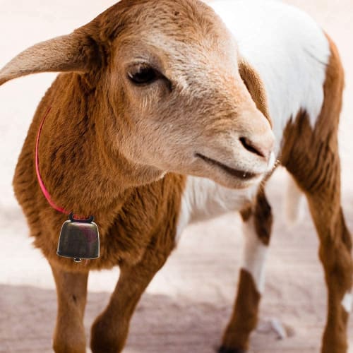 Stuurvnee 10 Pieces Small Brass Bells for Cows, Horses, and Sheep, Retro Copper Bells for Horses and Sheep, Cowbell Noise Makers