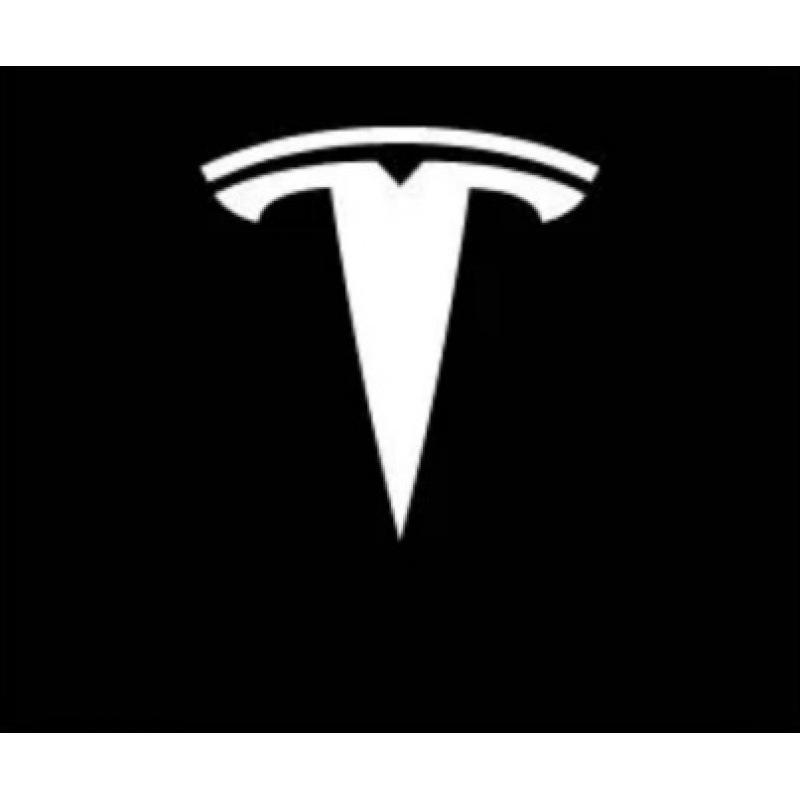 Применимый проектор света приветствия для дверей Tesla Model S/X/3