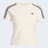 Adidas Terry Towel Kelly T shirT Kd1411