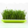 1pc Microgreens Sprouter Tray Hydroponic / Sprouting Tray For Sprout Horticultural Hydroponic Systems Tray Garden Nursery Potted