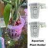 2Pcs Wall-Mounted Aquarium Plant Holder Aquatic Plant Hanger Fish Tank Basket Rack