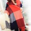 Autumn and Winter Warm Imitation Cashmere Fringed Student New Plaid Scarf Women's Winter Versatile Shawl