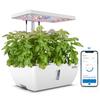 IDOO Hydroponic Cultivation Set Hydroponic Cultivation Set Vegetable Cultivation Set Совместимое с приложением дистанционное управление Стильный домашний сад для помещений