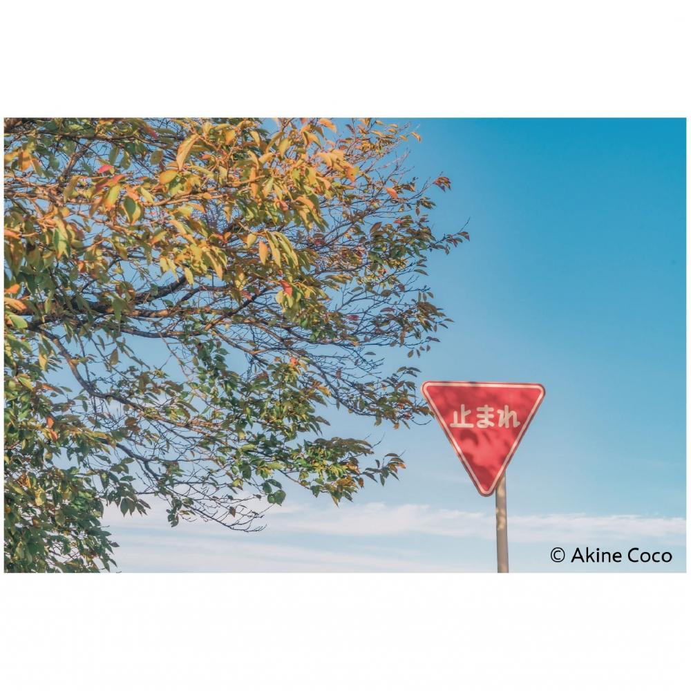 KENKO Soft Filter Nostalgic Tone Orange 72mm For Soft Effects and Color Effects Made In Japan 006061