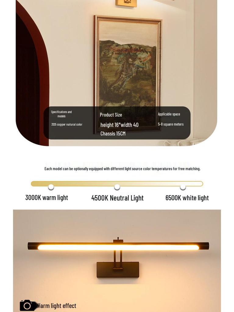 LED Bathroom Mirror Light: Long Strip Wall-Mounted Makeup and Picture Light