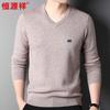 Hengyuanxiang Men's 100% Pure Wool V-Neck Sweater HJ198