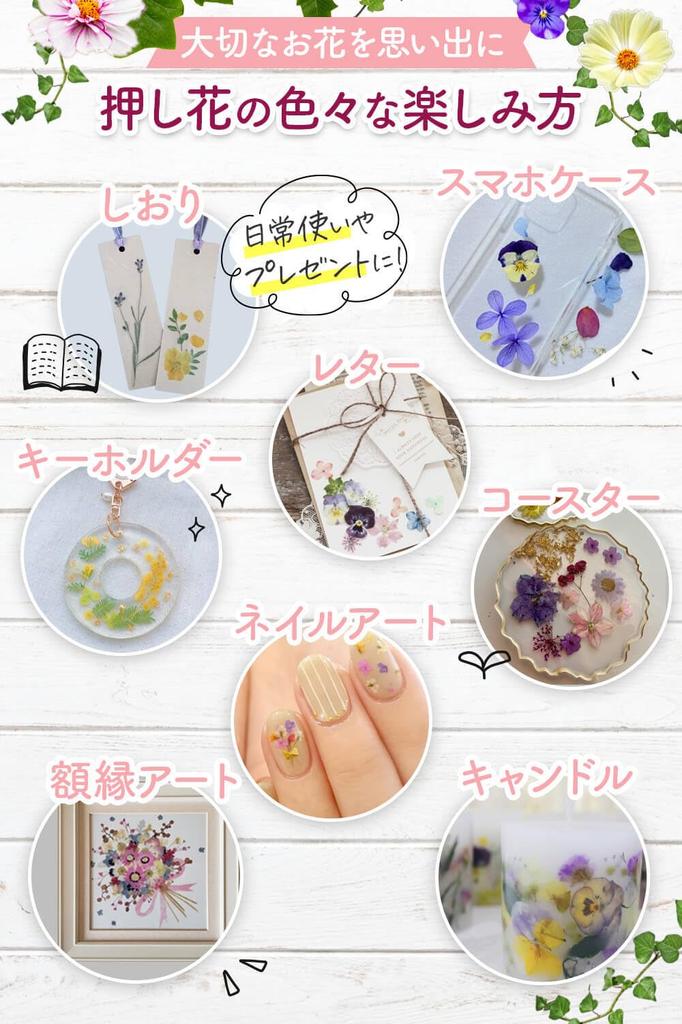 Набор для сушки прессованных цветов Yumeiro Kaden. В комплект входят: 6 листов для сушки, 10 бумажных подушек, содержит кальций.