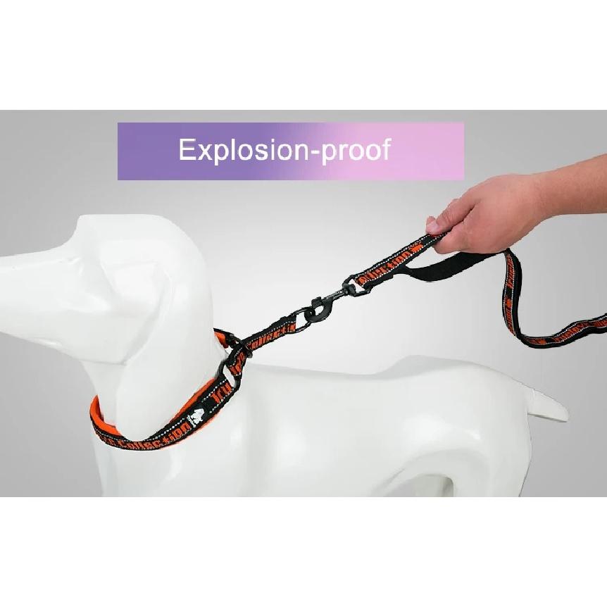 Truelove Pet Leash Nylon Explosion-proof Reflective for Cat and Dog Small Medium Large Travel Cross Walking Training TLL3071
