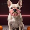 Realistic Pet Props Funny Dog Masque, PU Foam Scary Face Costume, Mouth Masque for Halloween with Elastic Band Dress Up, Holiday Party, Photo Cushion