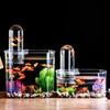 Высокоценный настольный аквариум-микроландшафт - Прозрачный пластиковый аквариум для золотых рыбок