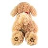 Beige Lap Puppy Toy Poodle Plush Toy, Small, P-3042