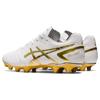 Asics Ds Light Series Круглый носок Шнуровка Ag (Резиновый короткий стержень) Мужские футбольные бутсы из синтетической кожи Белые Платиновые 1103A069-122