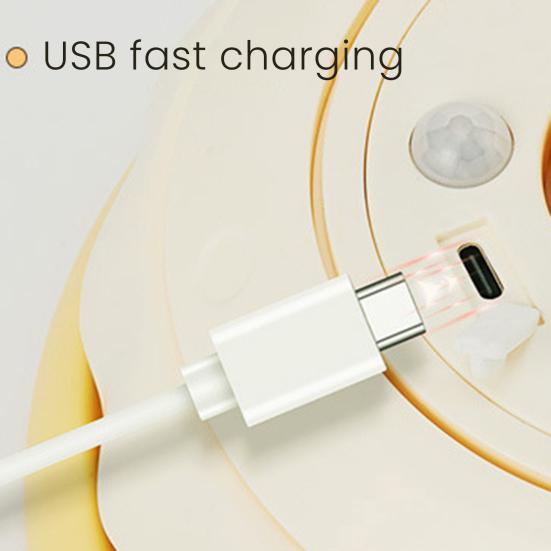 3-in-1 Hide And Seek Cat Toy Interactive Automatic Play Toy with Butterfly Wand And Moving Concealed Feather Kitten Exercise Hunting Game for Indoor