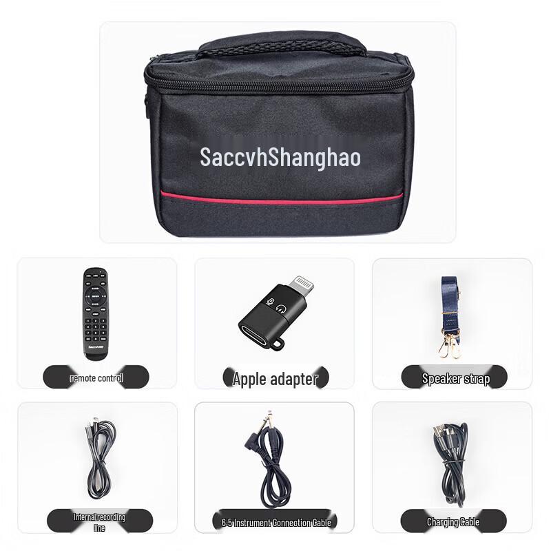 SACCVH S-Series Portable Musical Instrument Amplifier (CN version)