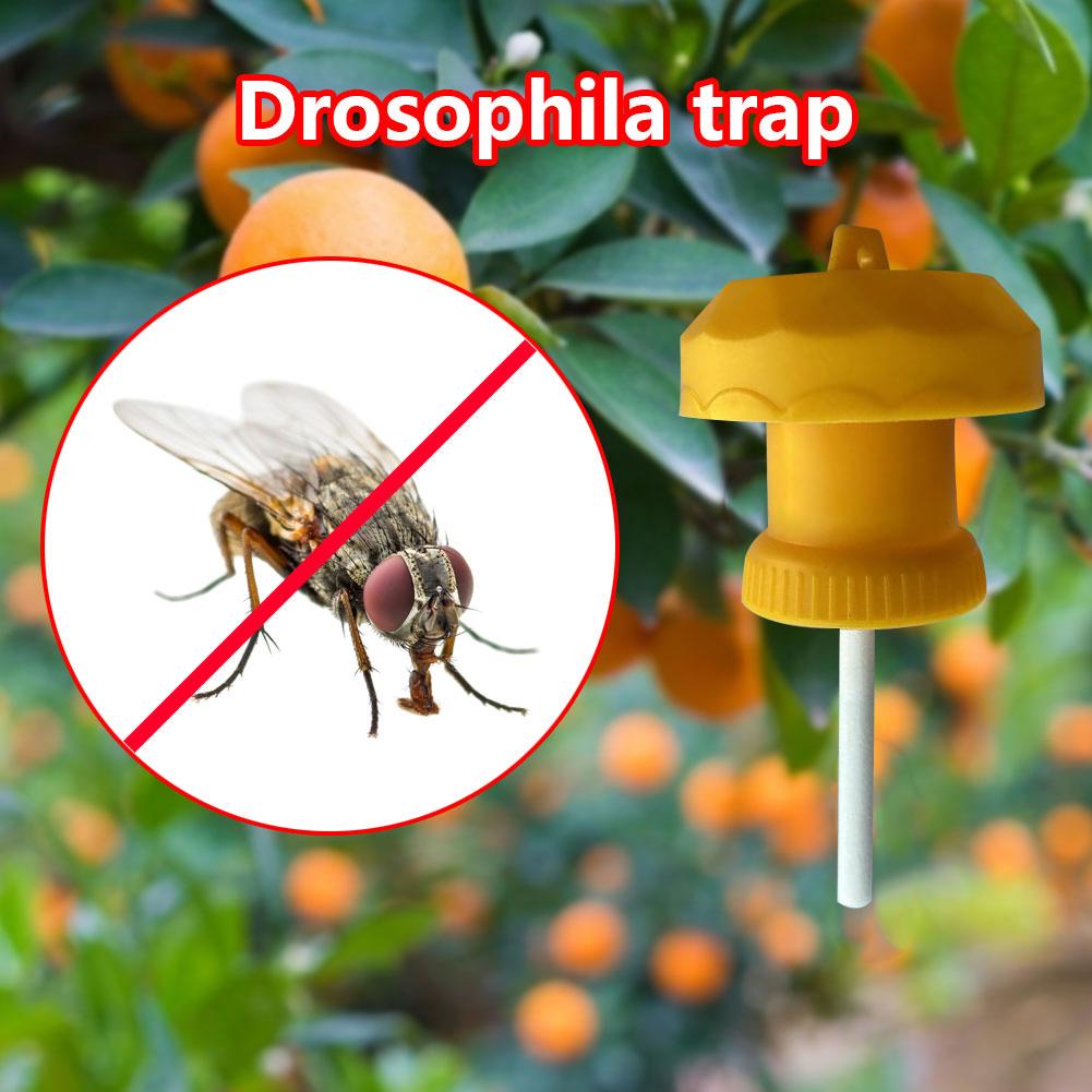 1-30pcs Drosophila Killer Fruit Fly Trap Antimosquito Orchard Vegetable Field Attractant Bait Pest Control Farm Accessories