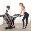 Lanou Stationary Exercise Bike CN plug (adapter included)