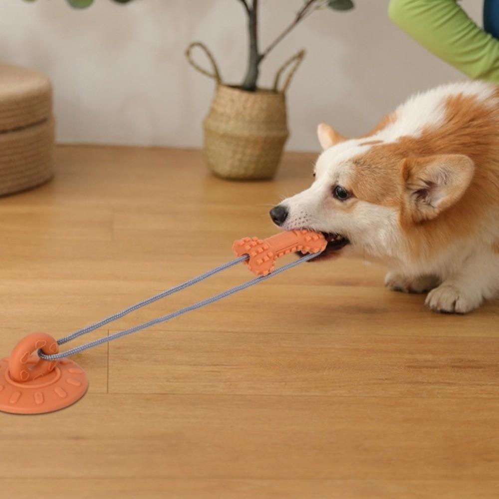 Bite-Resistant Dog Suction Cup Toys Teeth Cleaning Wear-Resistant Grinding Teeth Toys Durable Dog Chew Toys Physical Strength