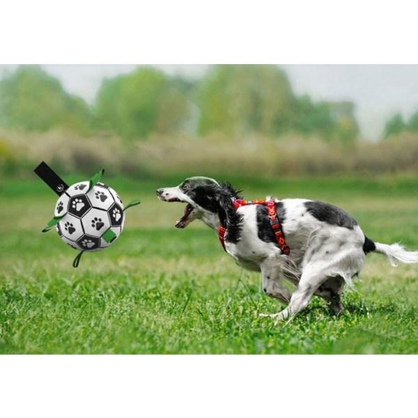 Игрушка-футбольный мяч Ding Dong Pet Pet Dog Tap, разные цвета, 1 комплект