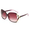 Women Shades Oversized Eyewear Classic Designer Sunglasses LXY