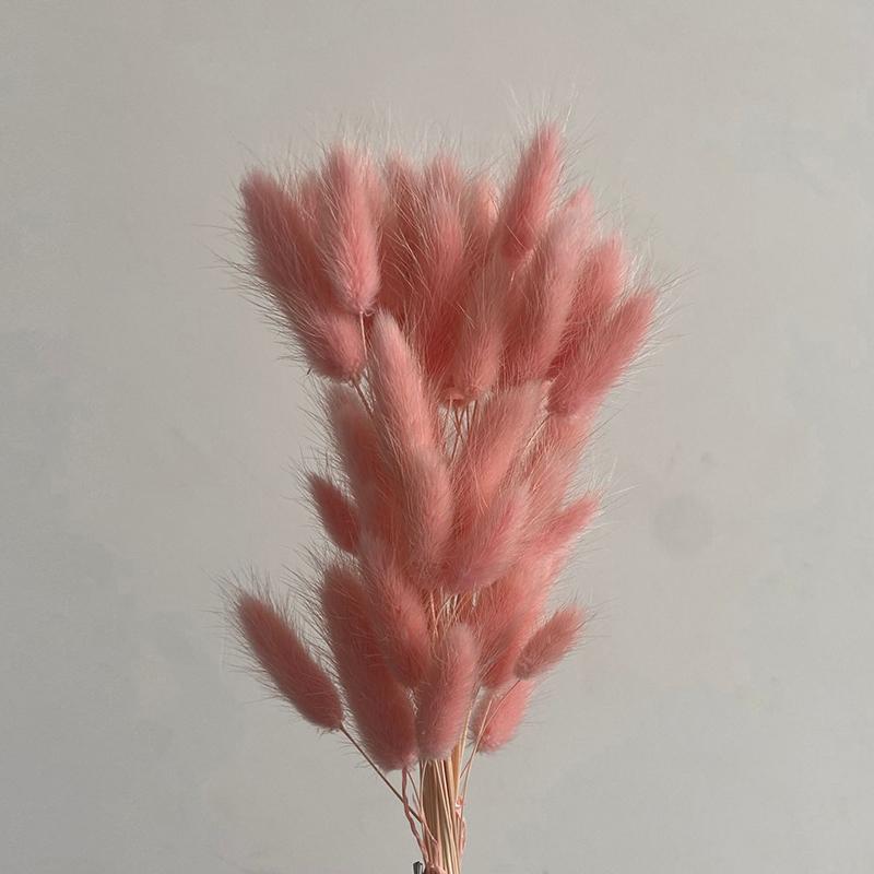 50 шт., букет из сухоцветов с изображением кролика и хвоста кролика, декор для свадебной вечеринки, пушистые пампасы, рождественская цветочная композиция своими руками