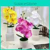 Butterfly Orchid Decorative Artificial Flower With Silk Fabric For Wedding Home And Studio Use