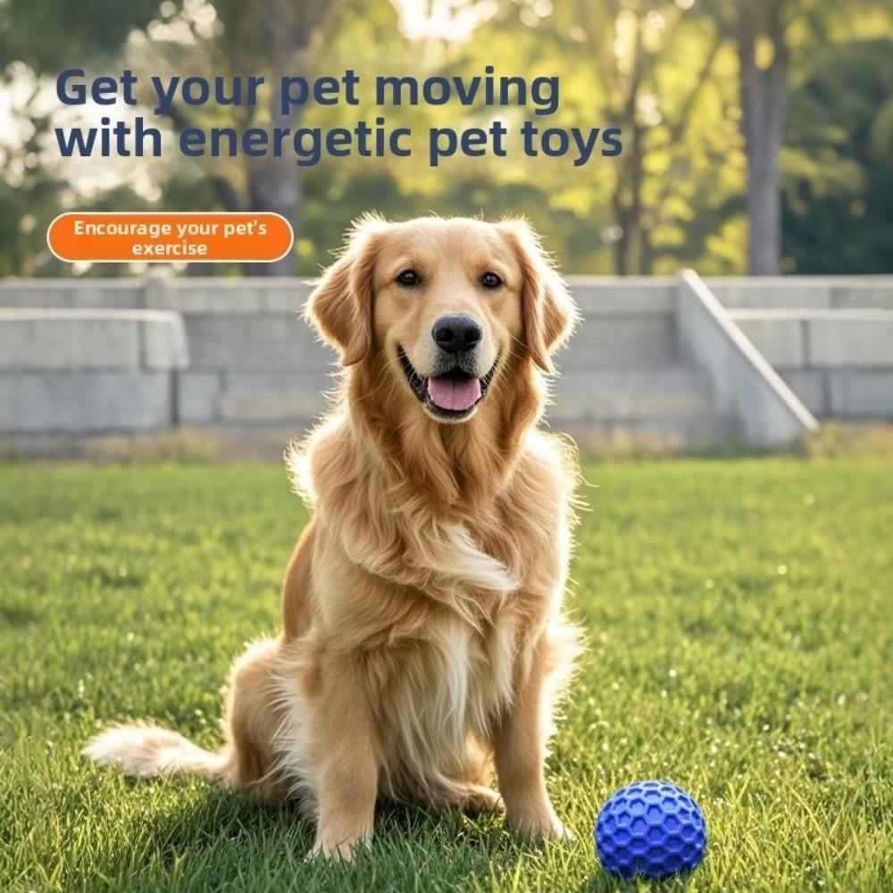 Rubber Dog Sound Ball Colorful Pet Toy Ball Puppy Toy Squeaky Dog Toy Training