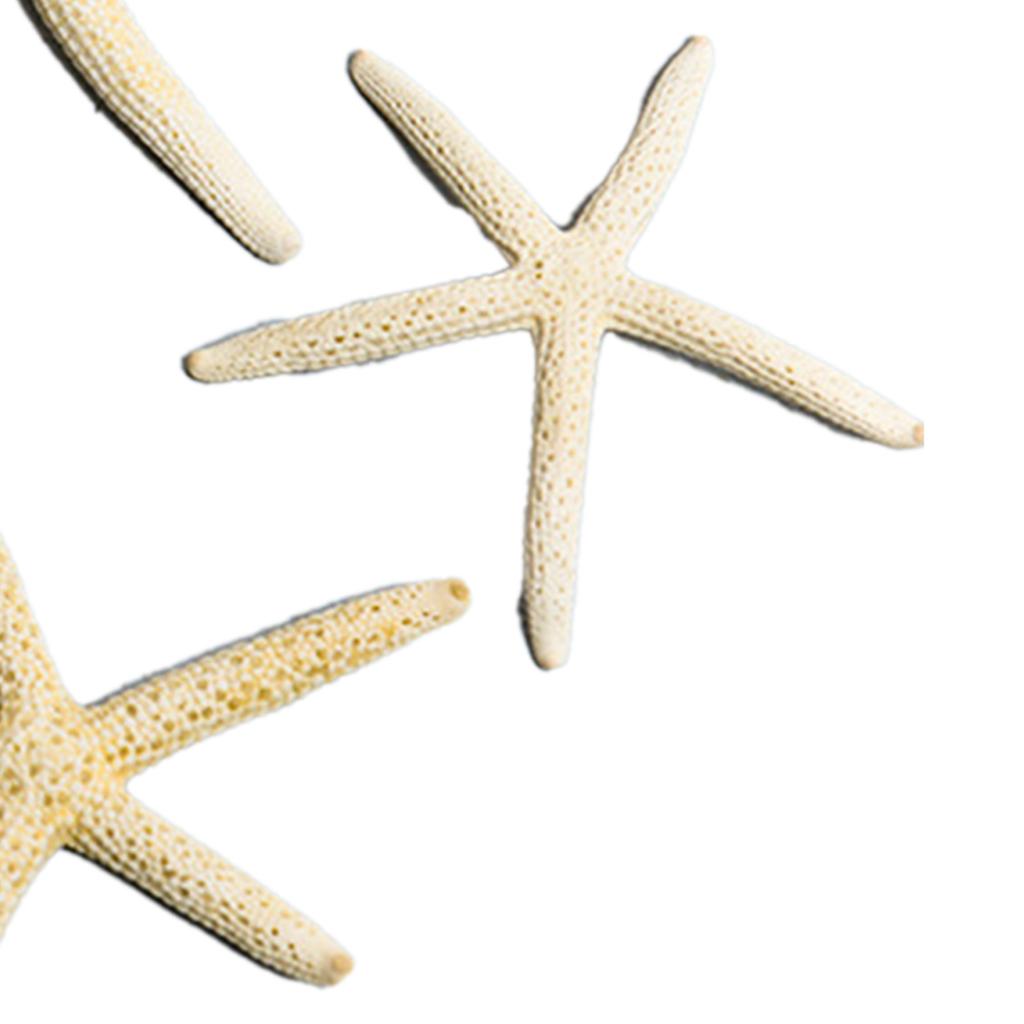Fish Tank Starfish Decor Unique Beautiful Starfish Ornament Set for Home Aquarium DIY Photo Frame