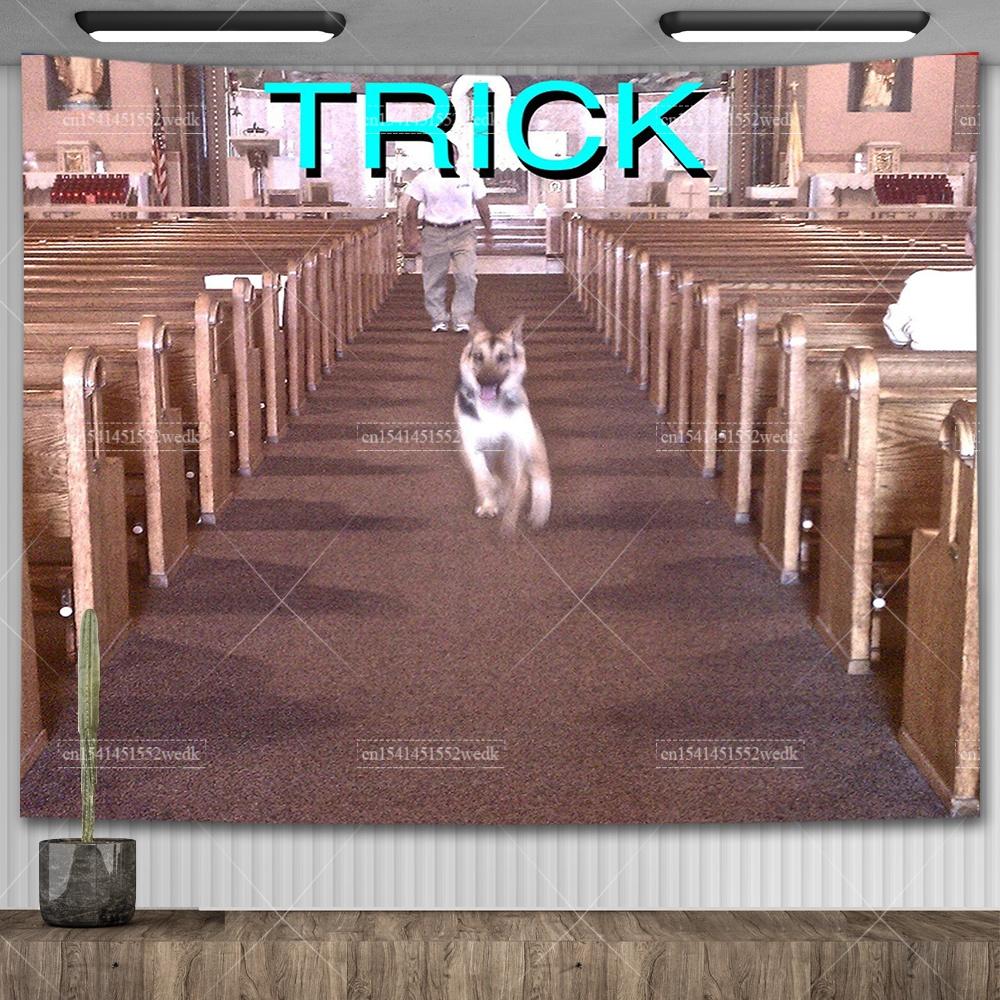 Alex G Trick Обложка альбома Гобелен Настенное искусство Плакаты Эстетическая спальня Декоративные печатные гобелены Макраме Фарбик Гобелен для комнаты