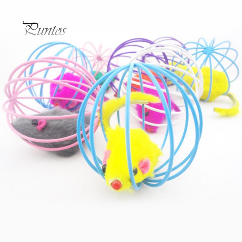 Mouse Rat In Cage Ball Pet Play Playing Catch Toy