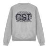 CSI унисекс взрослый свитшот с потертым логотипом