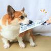 2pcs Pet Dog Squeaky Chew Toy, Simulated Paper Texture For Teeth Grinding, Pet Supplies
