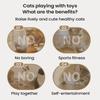 Cat Puzzle Toy Sunflower Design Puzzle Cat Enrichment Toys Game Enrichment Scratcher For Training Mental Exercise Indoor Play