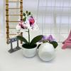 Butterfly Orchid Fake Flower Arrangement For Home Decoration And Event Use