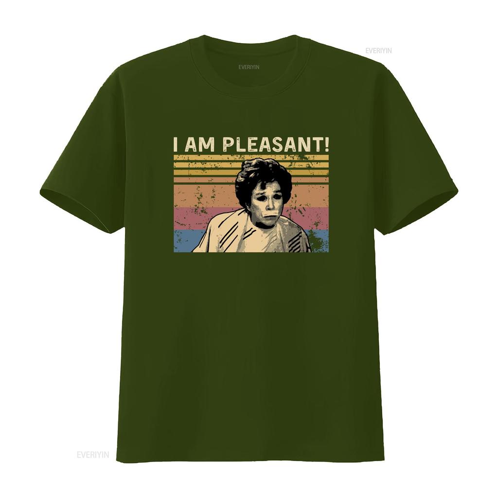 Vintage Retro Funny I Am Pleasant Slogan Meme Print Casual T Shirt Vintage Washed Stretched Versatile Top For Everyday Wear