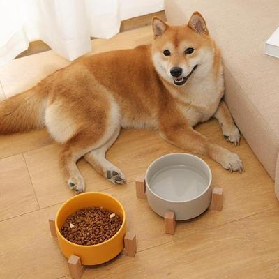 Керамическая миска для домашних животных, деревянная стойка для кошек и собак, миска большой емкости, кормушка для собак и кошек, поилка для воды, миска для маленьких собак, миска для домашних животных