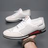 Спортивная и повседневная обувь полая прохладная кожаная обувь мужская корейская версия мягкая подошва внутренняя высота увеличение мужская обувь тренд 2025 белая обувь мужская