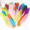 50Pcs/Set Colorful Natural Feathers Kids Adults DIY Feather Crafts Dream Catcher Centerpieces Home Office Wedding Party Decorations Real Feather Kit