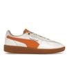 Palermo Unisex Casual Shoes 401074-01