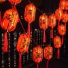 Black Scorpion New Year Outdoor Solar String Lights