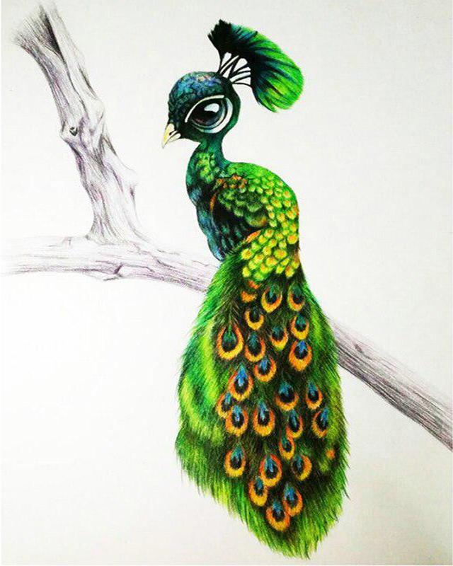 5D алмазная живопись Павлин Новое поступление Алмазная вышивка крестиком животное полная квадратная круглая дрель мозаика подарок ручной работы