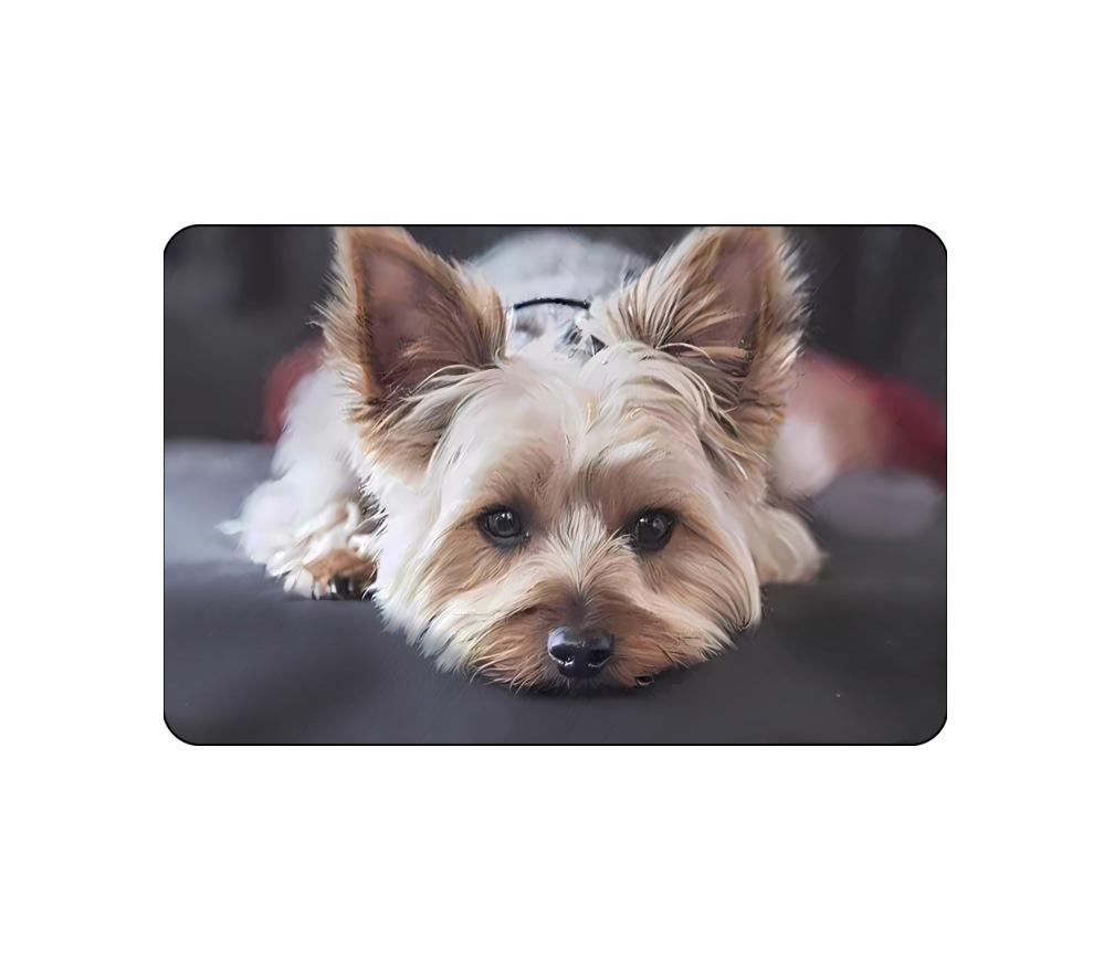 VIKAMA Crystal Pile Carpet Cute Cartoon Animals Entrance Bathroom Kitchen Dirty Resistant Slip Resistant Washable Foot Mat Rug
