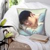 ЧА ЫН У kpop ASTRO Печатные наволочки Чехол для подушки Чехол для декоративной подушки Мягкий и милый Декор для дивана На молнии Несколько размеров