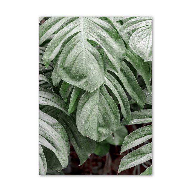 Зеленое растение Агава Кактус Абстрактная геометрия Линия Настенная живопись Печать на холсте Картина в скандинавском стиле Настенный плакат для украшения гостиной