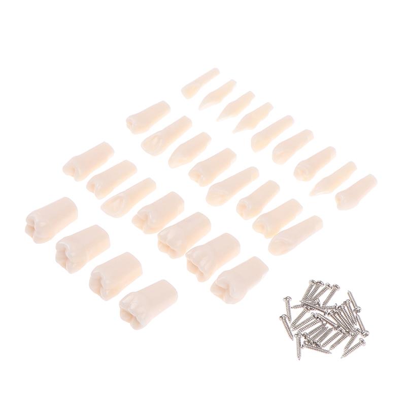 28 шт./компл. стоматологическая смола Typodont, модель зуба, обучающие инструменты для стоматологии