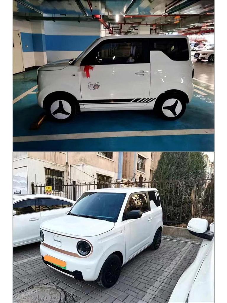 Колпак ступицы колеса электромобиля Geely Panda Mini